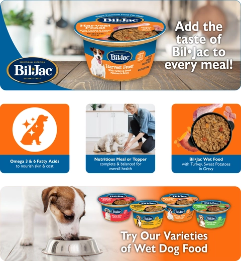Bil-Jac® Harvest Feast Adult Wet Dog Food - Turkey & Sweet