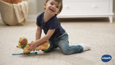 VTech Zoo Jamz Doggy Xylophone - English Edition | Toys R Us