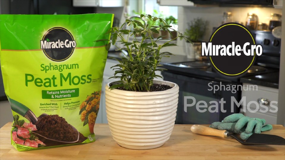 Miracle-Gro Sphagnum Peat Moss, 8 Qt., For container and in-ground use