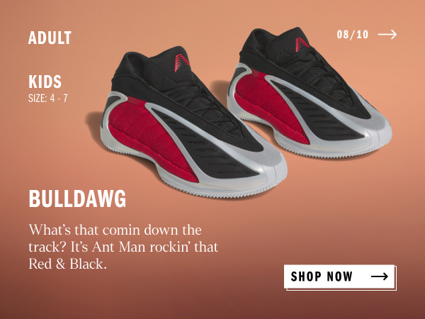 adidas Anthony Edwards 2 'Future Icon' Basketball Shoes | Dick's