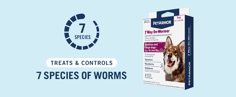 tobacco for worms in dogs PetArmor® 7 Way De-Wormer for Medium and Large Dogs