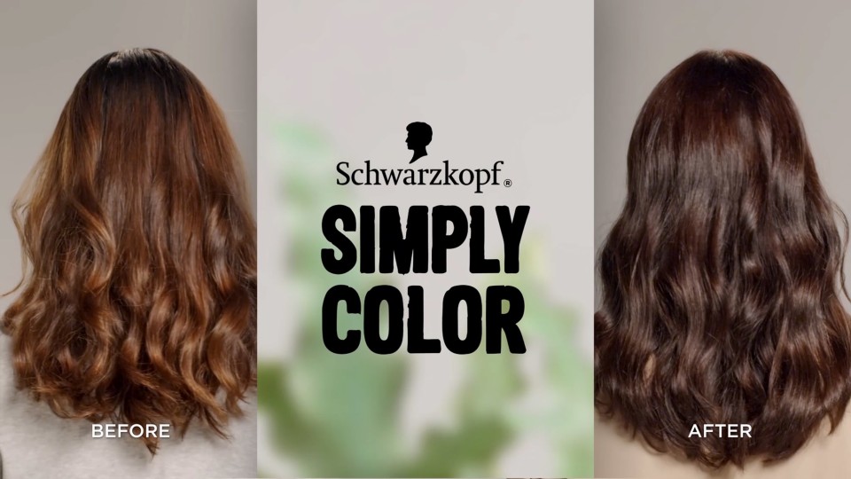 Schwarzkopf Simply Color Permanent Hair Color, 6.0 Cool Brown