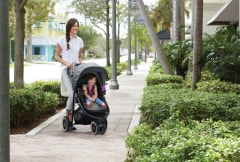 graco xt travel system