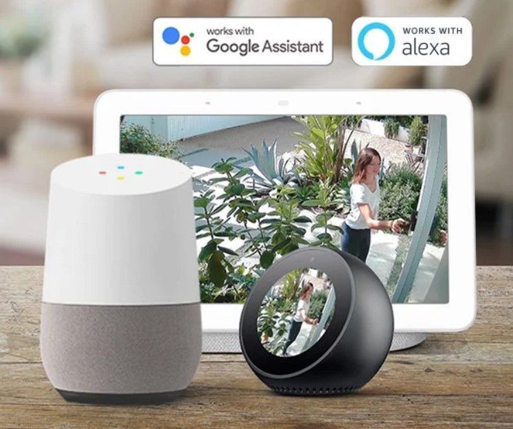 Google assistant and Alexa products