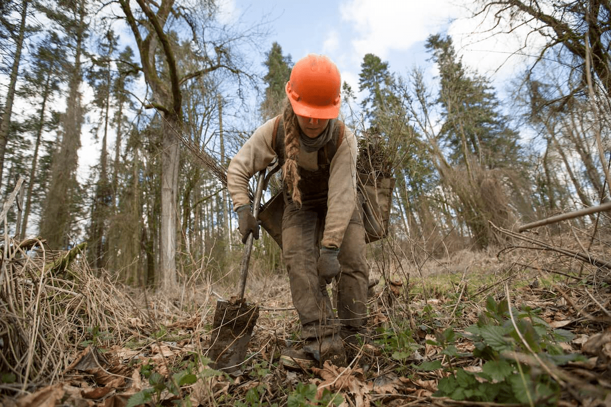 one_tree_planted_photo1