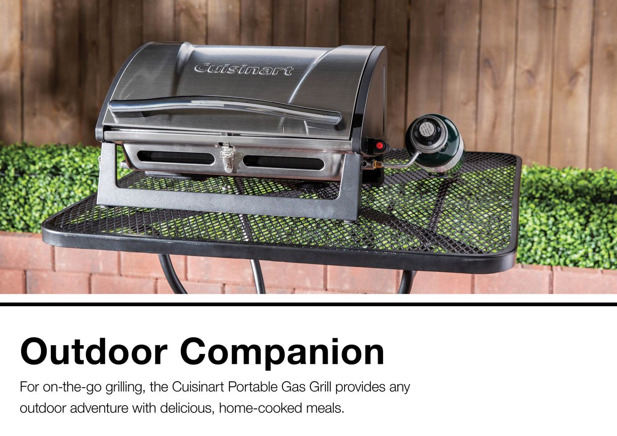 grillster portable gas grill