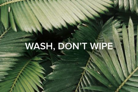 Leaf imagery with Wash, Don't Wipe text overlay