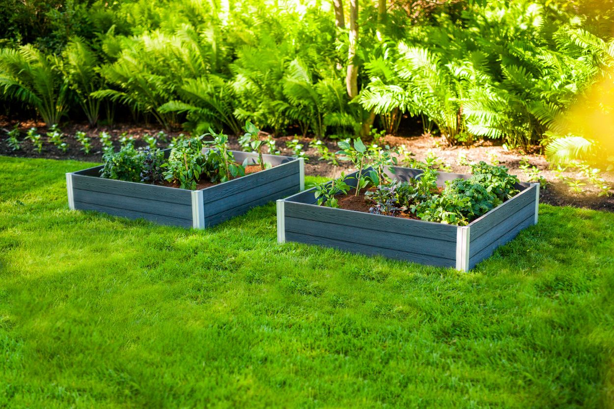 Raised Garden Bed Costco Ca Bios Pics
