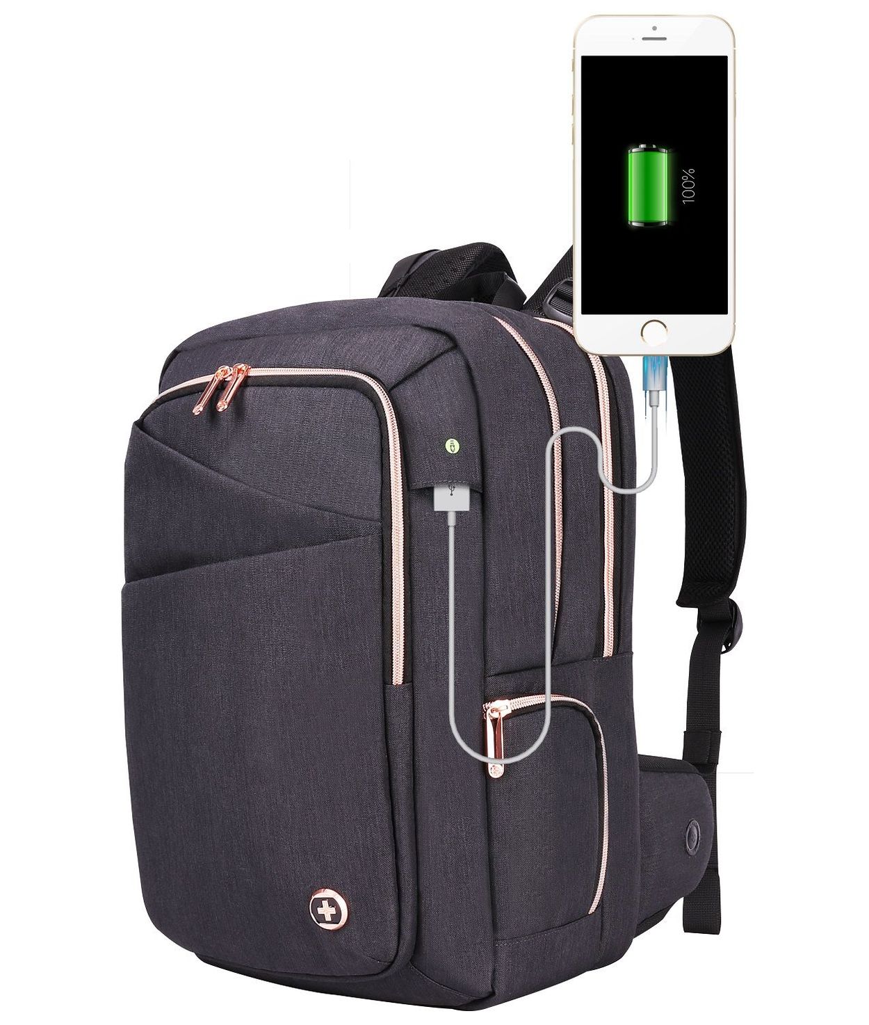 swiss backpack costco