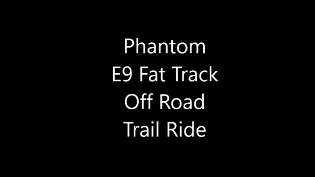 phantom e9 fat track electric bike